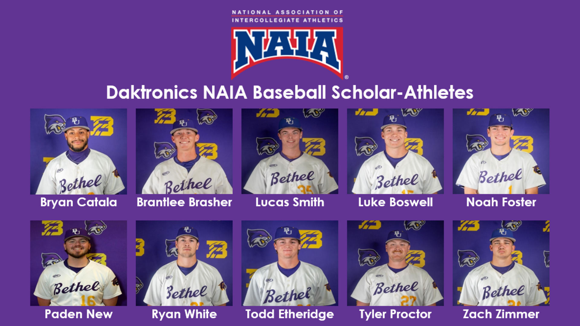 2024 Daktronics NAIA Baseball Scholar-Athletes Released